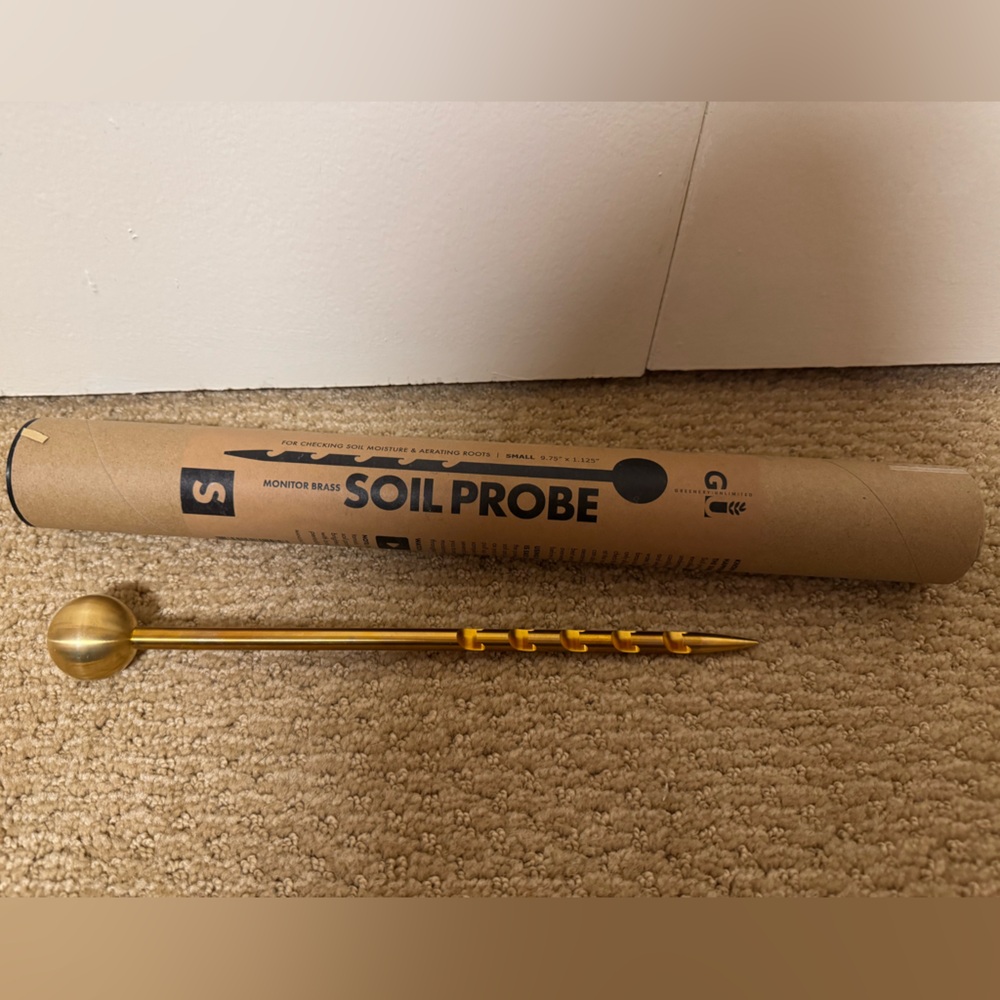 Brass Soil Probe in Gold - Home Accents